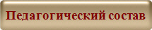 Педагогический состав